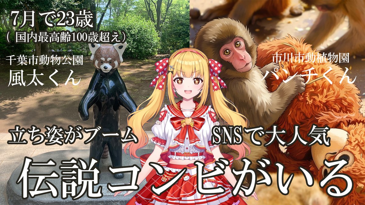 戸定 梨香（とじょう りんか）🐨🎀【ASE】千葉県ご当地VTuber tweet media
