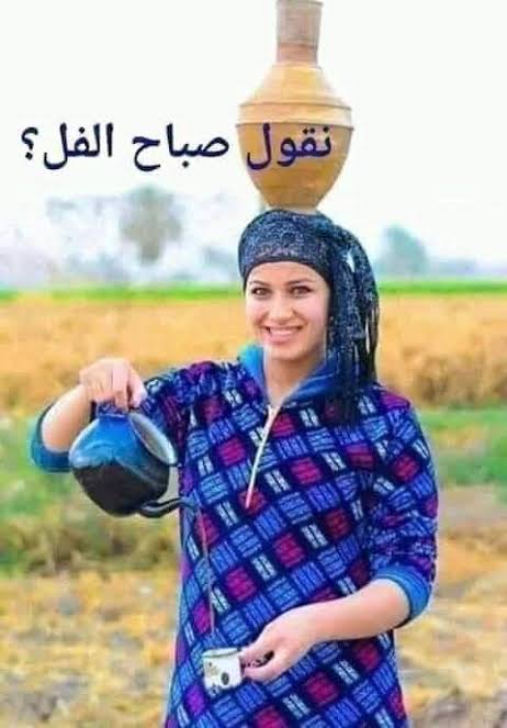 مدام هاله tweet media