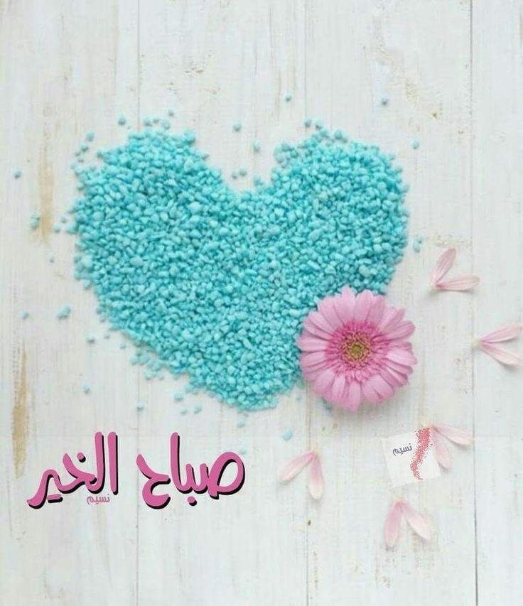 🍁 فاطنه 🍁 tweet media