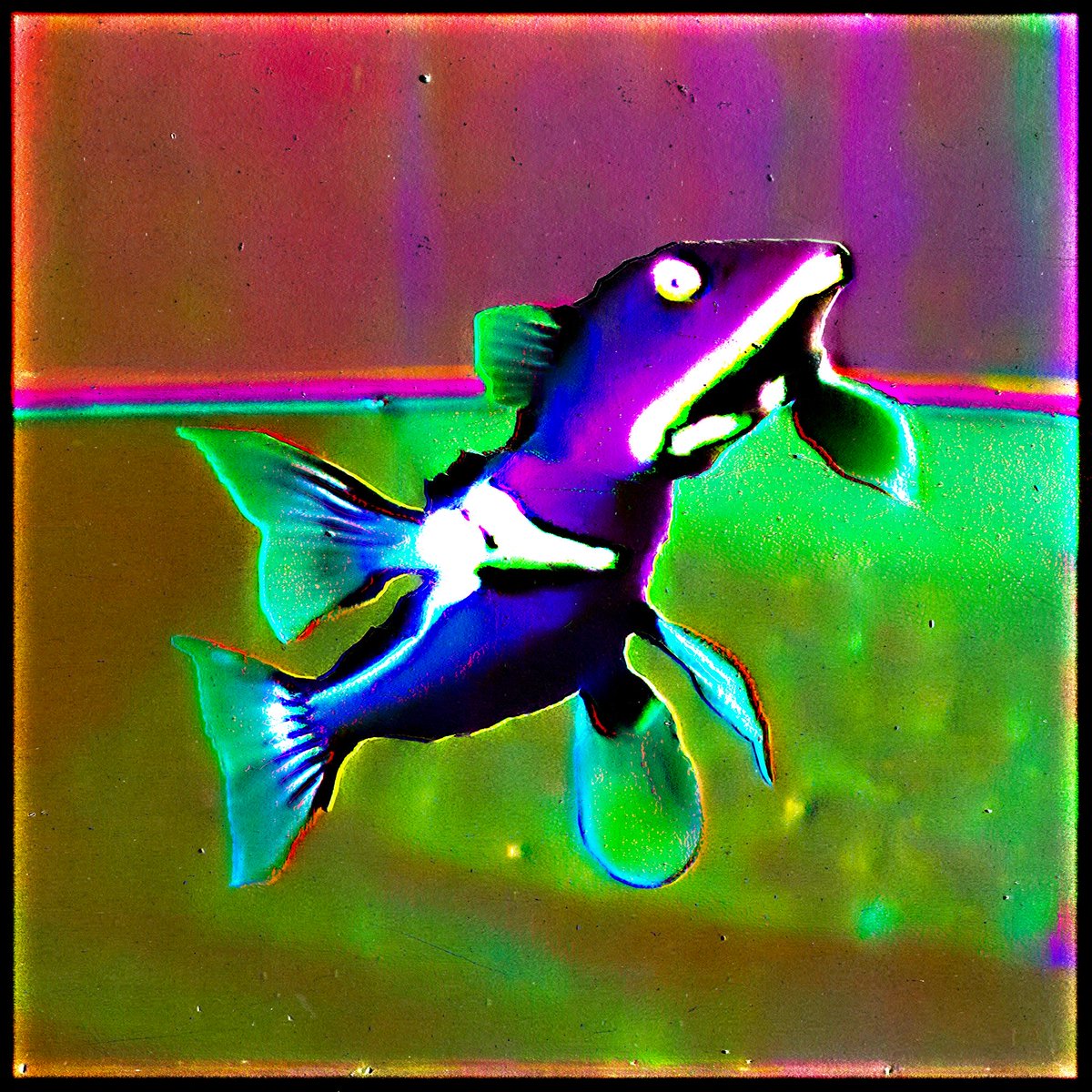zeroclientbox's tweet photo. @FellowshipAi @cydr @bagdelete @Vince_Van_Dough fish friend https://t.co/M527GQxnDY