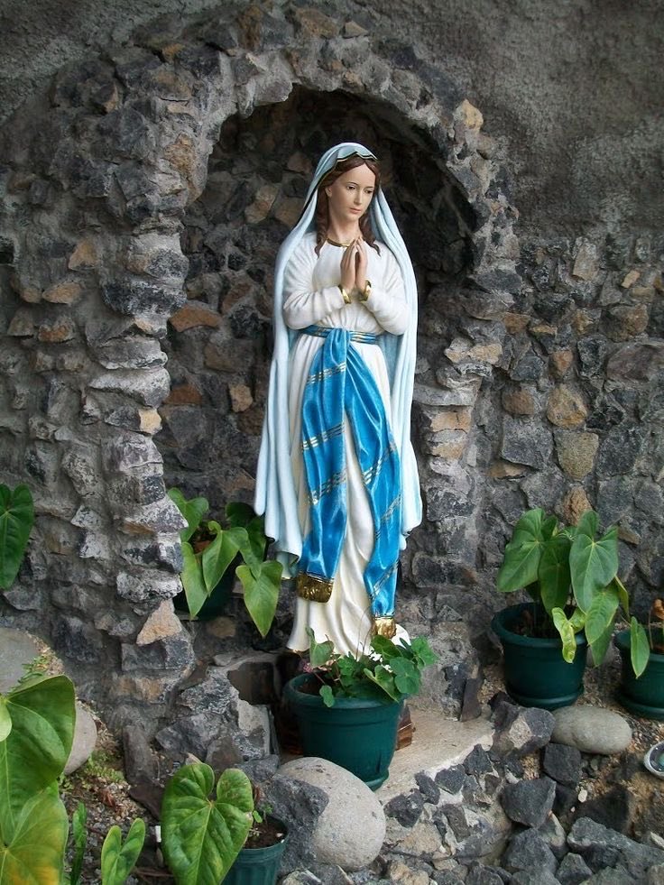 Catholic Quotes tweet media