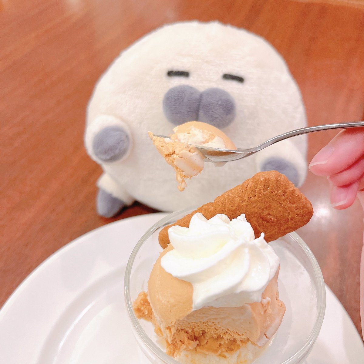 norazarashi's tweet photo. フィギュアおいしそうにできてきたのら〜！！！🤤🤤🤤

／
#デザフェス63 まであと6日‼️🫨
＼

はたして準備は間に合うのら？！
みんなあそびにきてね〜🦭🐰✨

モグモグ╰(*´∞`*)╯♡

#のらざらし #ぬいぐるみの時間 #3Dフィギュア https://t.co/nEPPjDhiYf