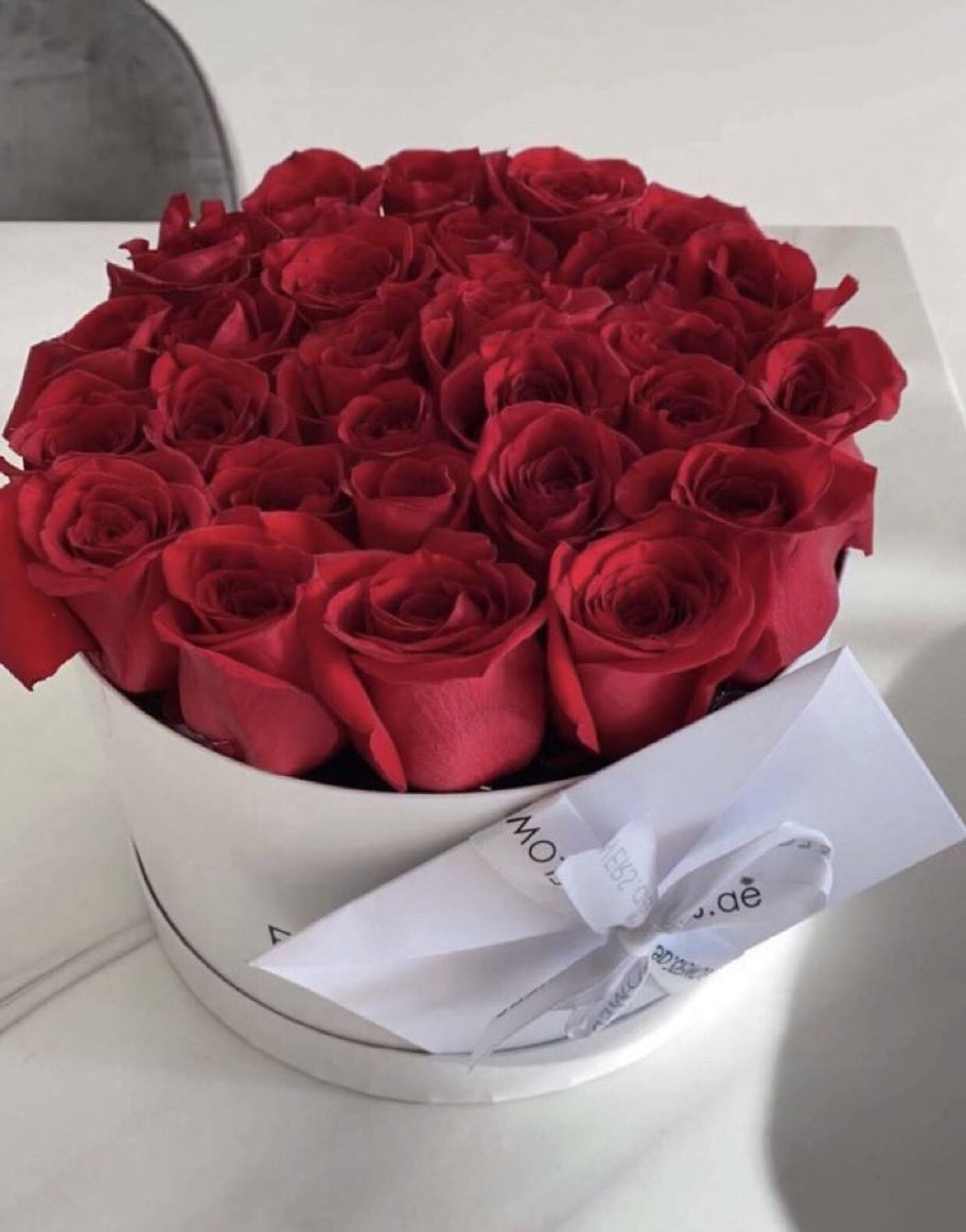 hno_rc's tweet photo. الأمان أولاً، ثم بقيّة المشاعر. https://t.co/qOlyFGwcpx