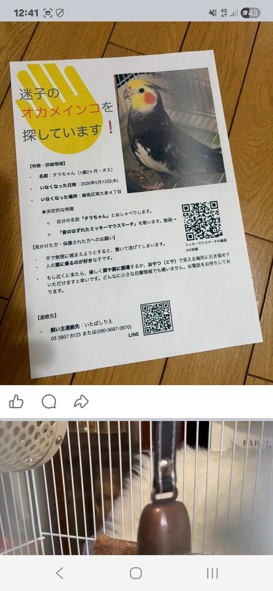 C まん tweet media