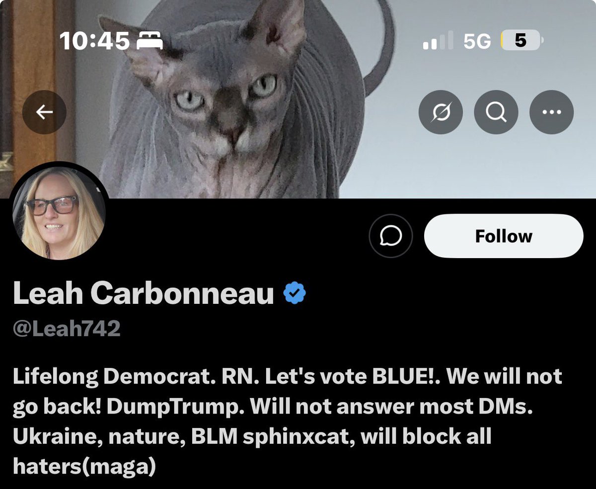 Jace_Young's tweet photo. @Leah742 @cb_doge You have a hairless cat in your cover photo. You are a cliche miserable liberal cat lady. Enjoy a lonely old age. https://t.co/ttt71aI0s6