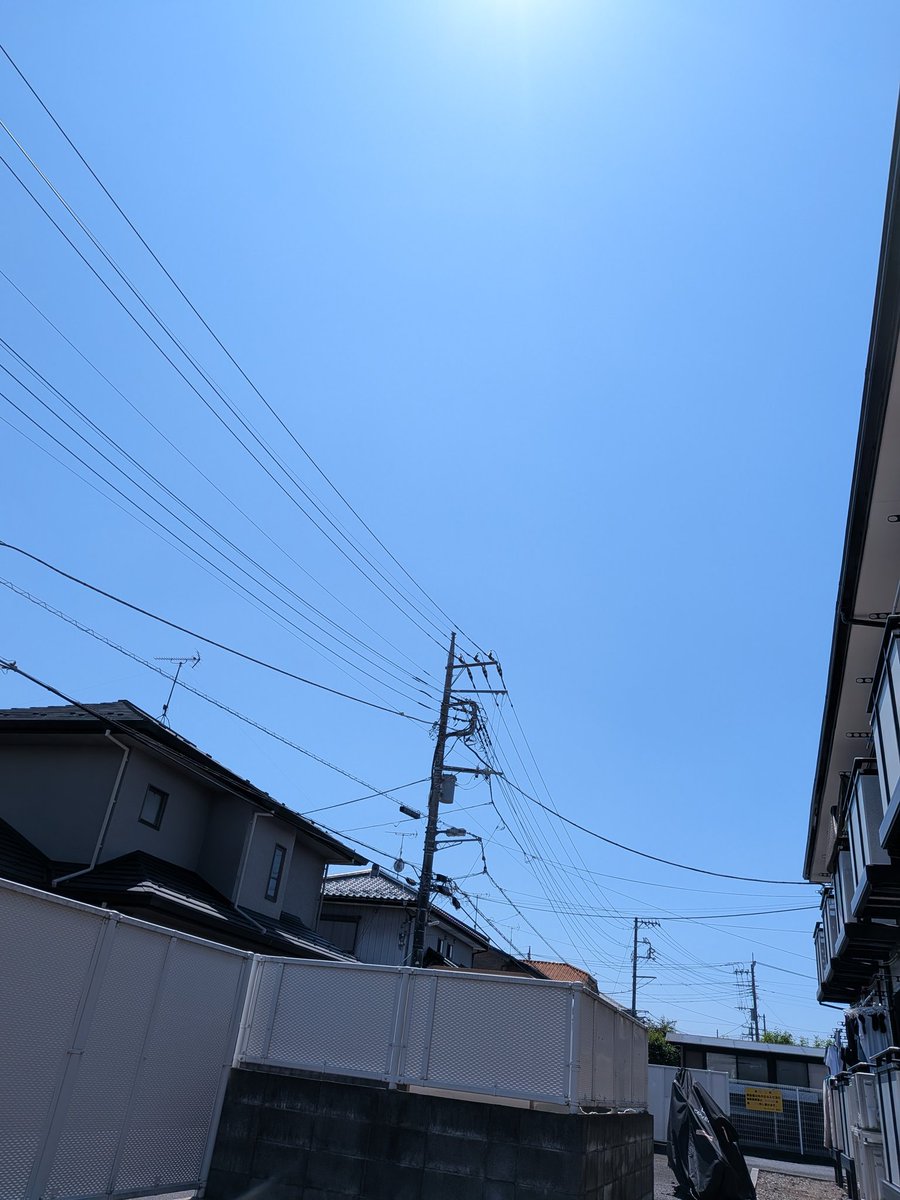 Bo5E17's tweet photo. 虹の橋の向こうで　僕を待っててね。おやすみなさい。 https://t.co/ScdCkQSfez