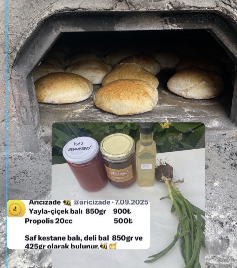 Arıcızade 🐝 tweet media