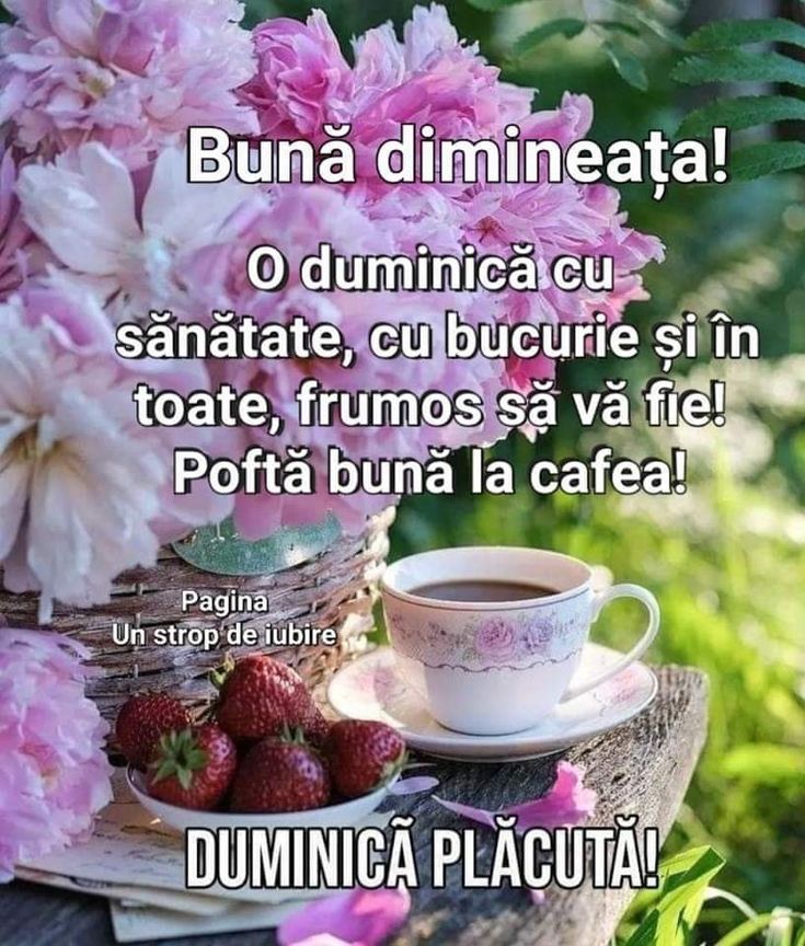 Neacșu Marian tweet media