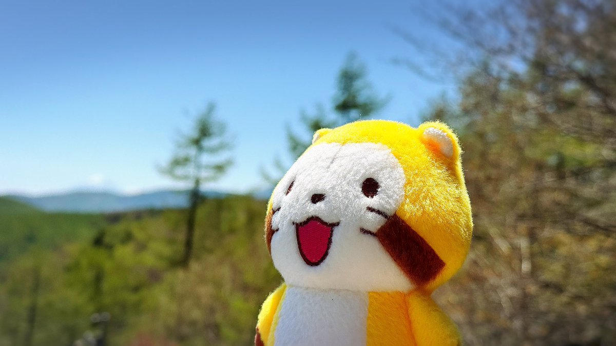 ラスカル(公式)🌽 tweet media