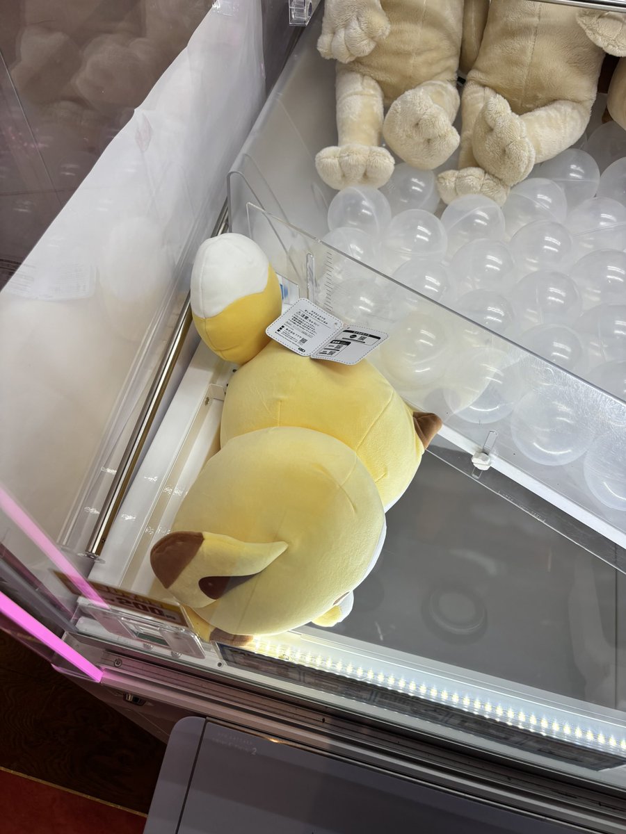 梅にゃん tweet media