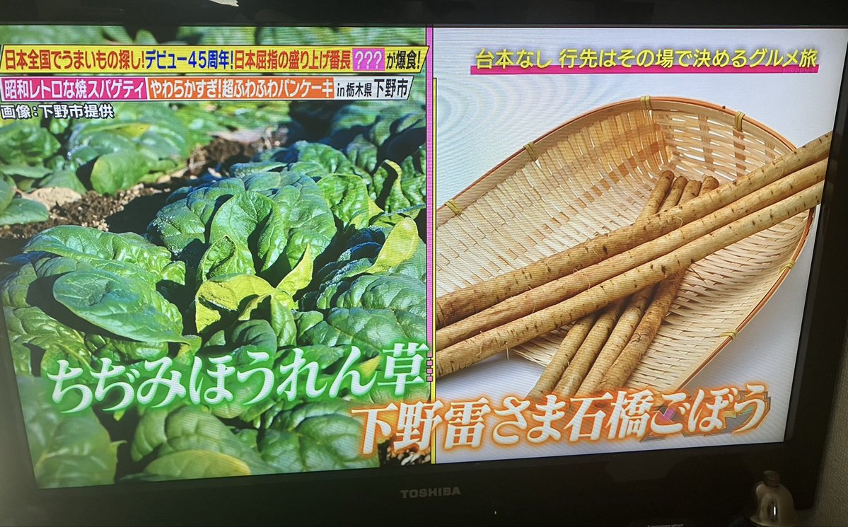 渡辺美潮/声優・MC tweet media