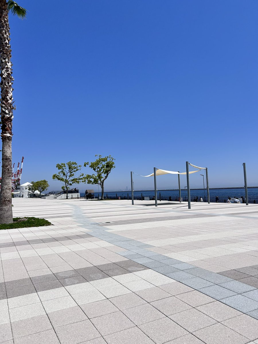 Kuuga iwata（岩田 空峨） tweet media