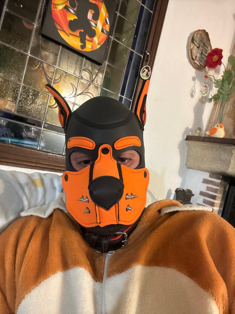 🦊Likoy🦊 tweet media