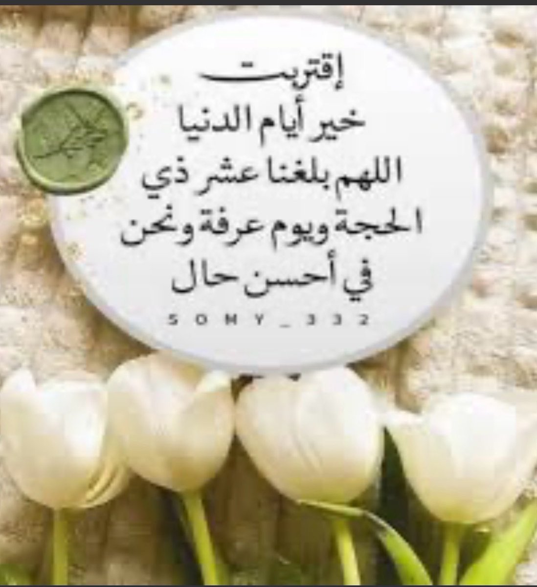 Hnona0981's tweet photo. "اللهم بلّغنا العشر من ذي الحجة بلوغًا حسنًا
يُرضيك عنا، و اجعل لنا فيها نصيبًا من الرحمة 
والمغفرة واستجابة الدعاء"🙌🕊️🕊️ https://t.co/uSiDgbVcqO