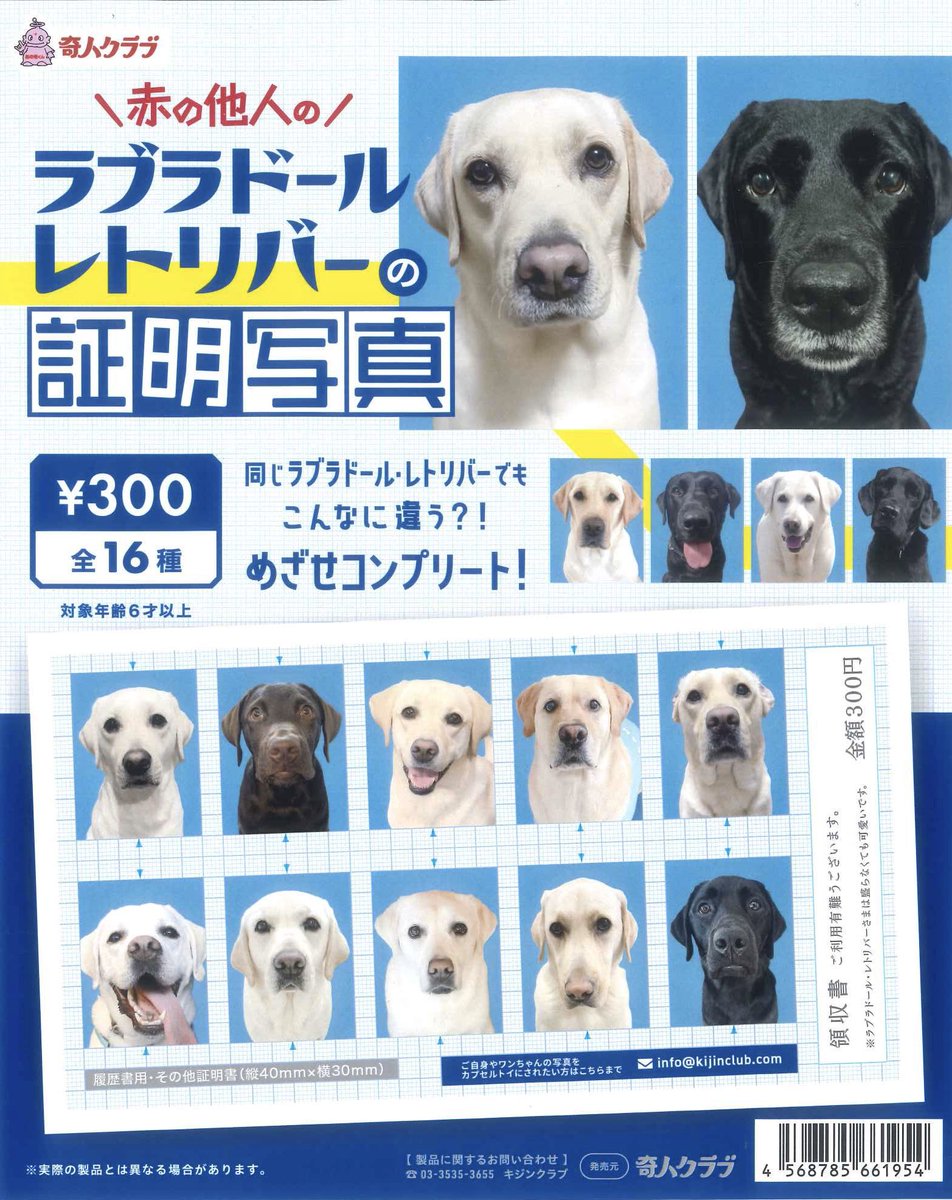 🎀個数制限のご案内🎀 📌 ラブラドール・レトリバーの証明写真
