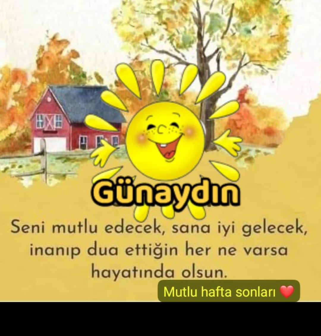 mert tweet media