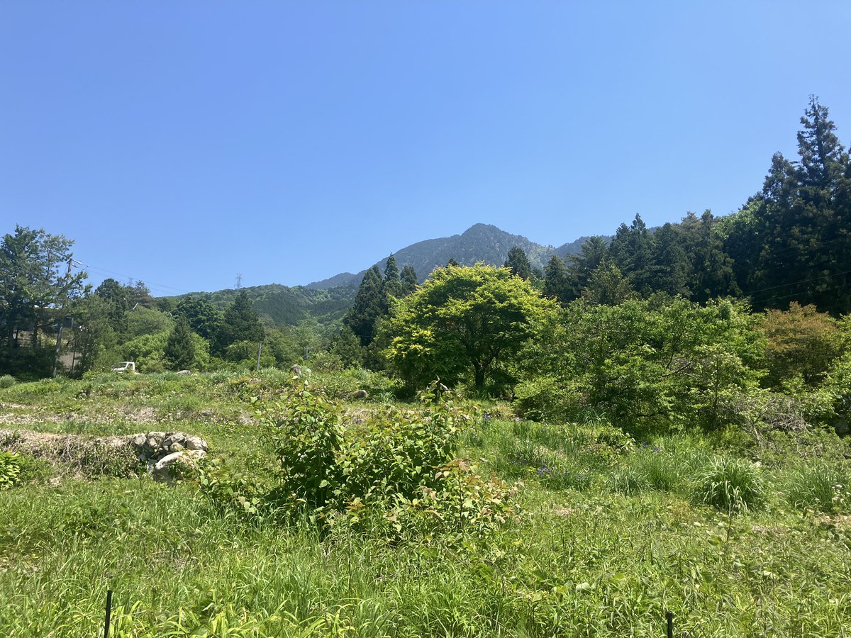 さめ tweet media