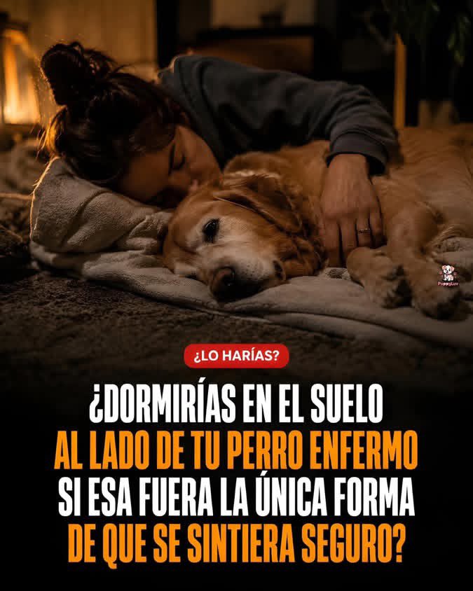 Lizbeth Quiñonez tweet media