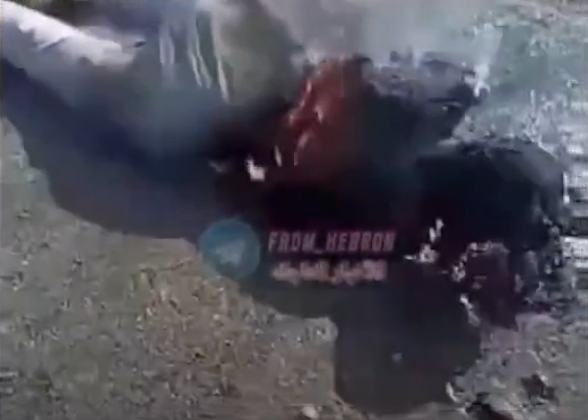 SpoiltheG5's tweet photo. islamic jihadists (palestinian) light an Israeli on fire

10/7 massacre https://t.co/3h0MPzylki