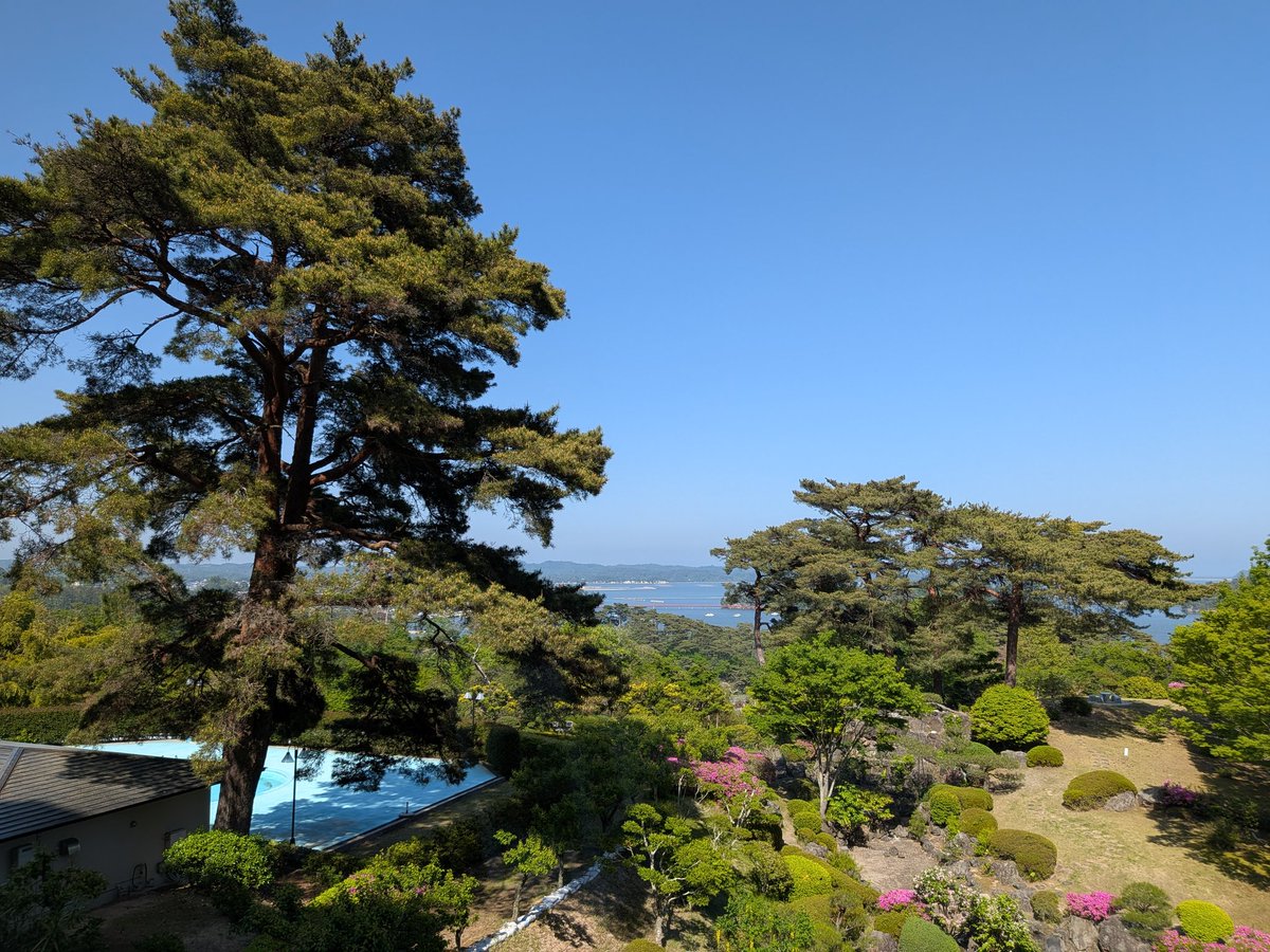 TØRU・トール tweet media
