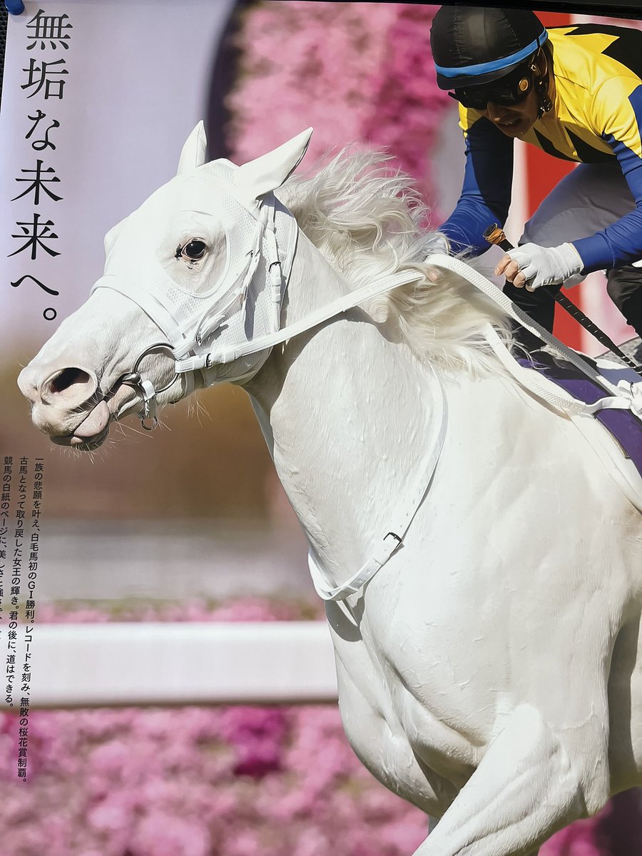RAMUTAROU_MIBU's tweet photo. 今日はココカラ🏇　アコの毛並み予想からいくと本日は④　　本日もよろしくドエス🐑
#ジンギスカン
#場外
#ニッチョビ https://t.co/WonVkjdP1Z
