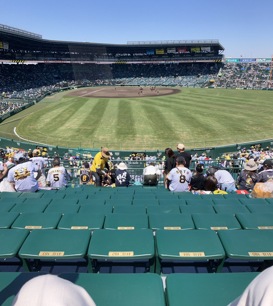 rin_070305's tweet photo. 🐯🏟️ https://t.co/FZVrVdfT0Y