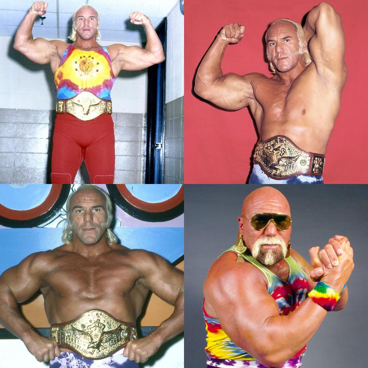 WWF Wrestling tweet media