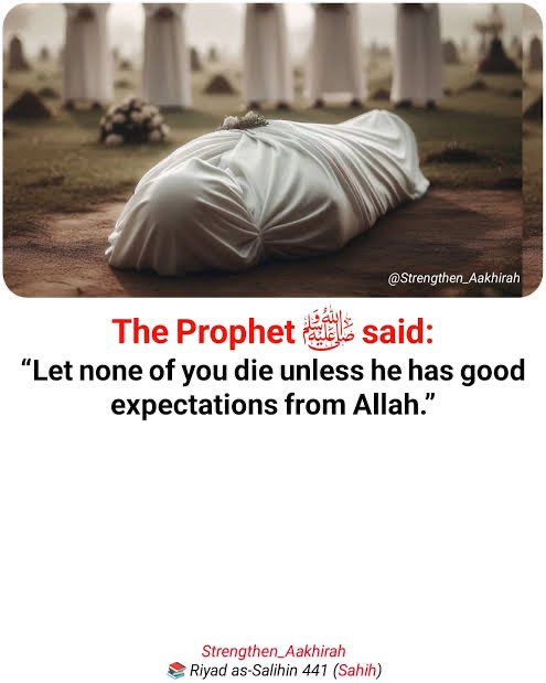 المر أة الصالحة 🧕🏻‏ tweet media
