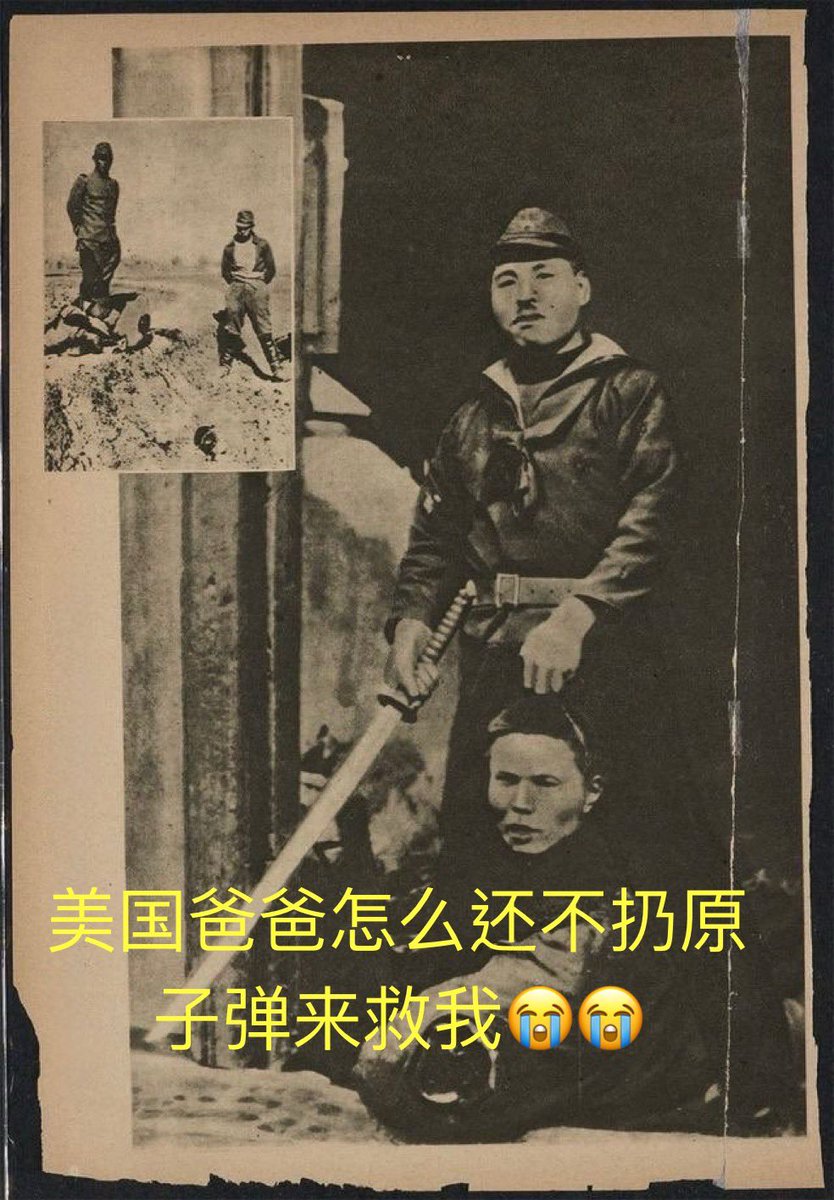 狂暴图支战狼(拴支女版⛓️) tweet media