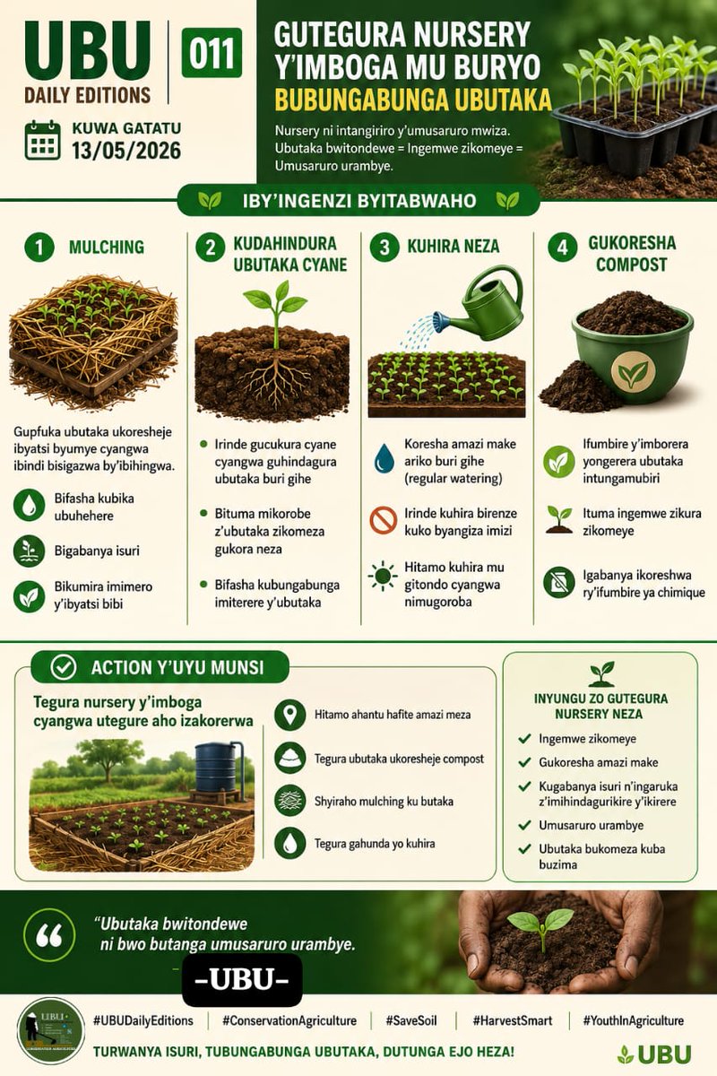 NiweOriginal's tweet photo. Nursery y’imboga itegurwa mu buryo bubungabunga ubutaka ishingira kuri mulching, kudahindura ubutaka cyane, kuhira neza no gukoresha compost. Ibi bifasha kubona ingemwe zikomeye, kugabanya isuri no kongera intungamubiri mu butaka. Ubutaka bwitaweho neza butanga umusaruro urambye https://t.co/pk3injfozW