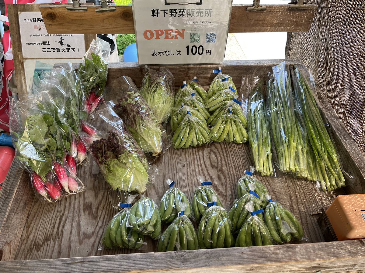 NobHatada's tweet photo. 軒下野菜販売所オープンしています
今日の野菜
二十日大根
サニーレタス
ウスイエンドウ
ネギ
スナップエンドウ https://t.co/2rHqQEy8aB