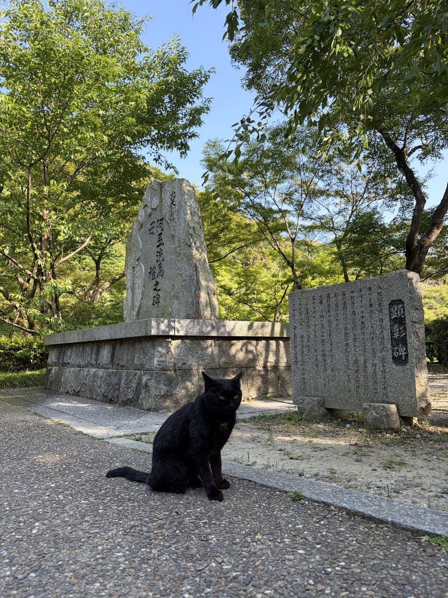 ran9nn's tweet photo. 久しぶりに京都感じれて楽しかった🙌🏻✨️
気が向いたらまた来てね🐈‍⬛@ju_52o https://t.co/qcAdg5K1gv