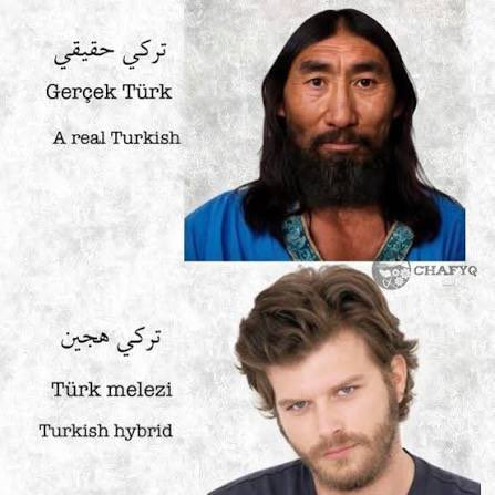 sam_arb3's tweet photo. @kemalizm010 @Araaboid @luffyjoyboy6868 @joelover123__ Suudiler senin gibi vahşi melez köpekler değildir.

Bunlar senin vahşi ve geri kalmış atalarının tipidir. https://t.co/LT8ARjvk5v