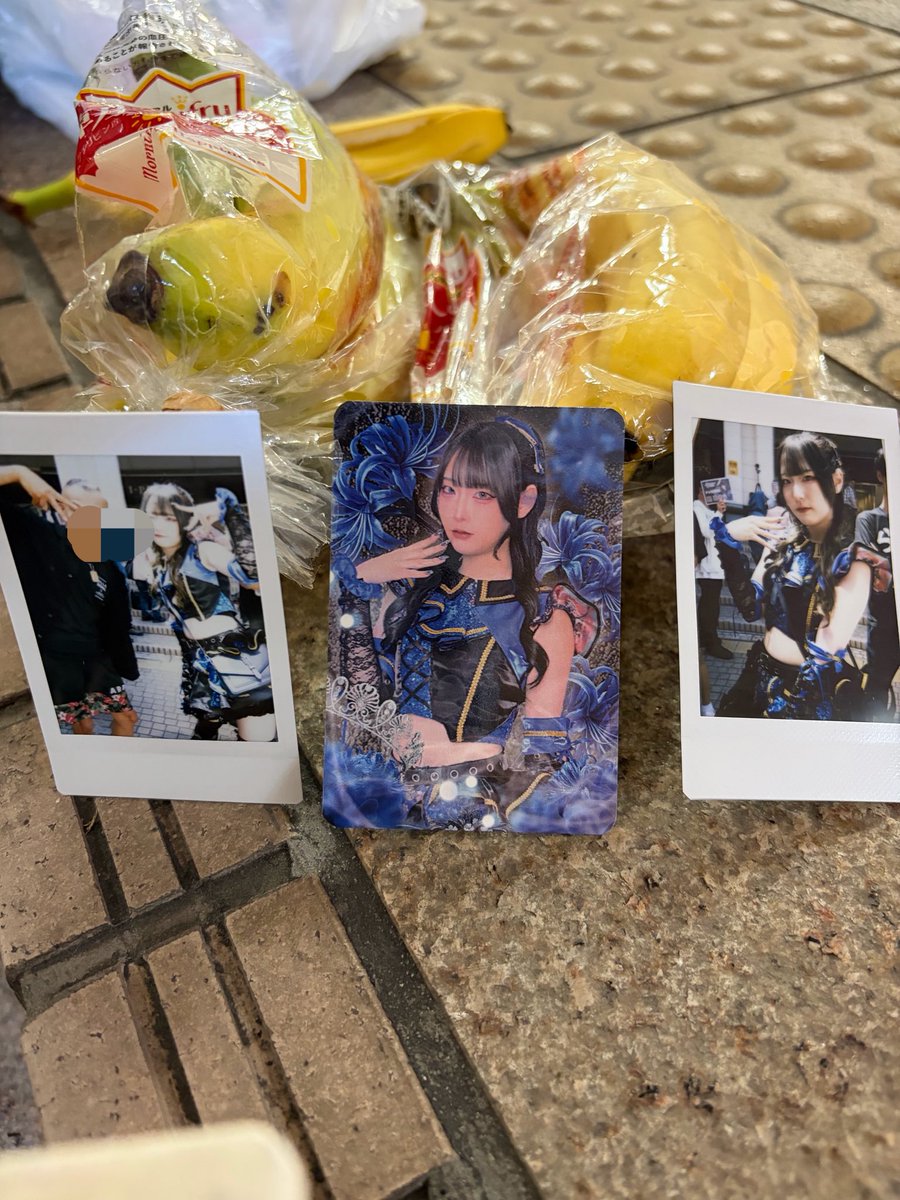智蔵 tweet media