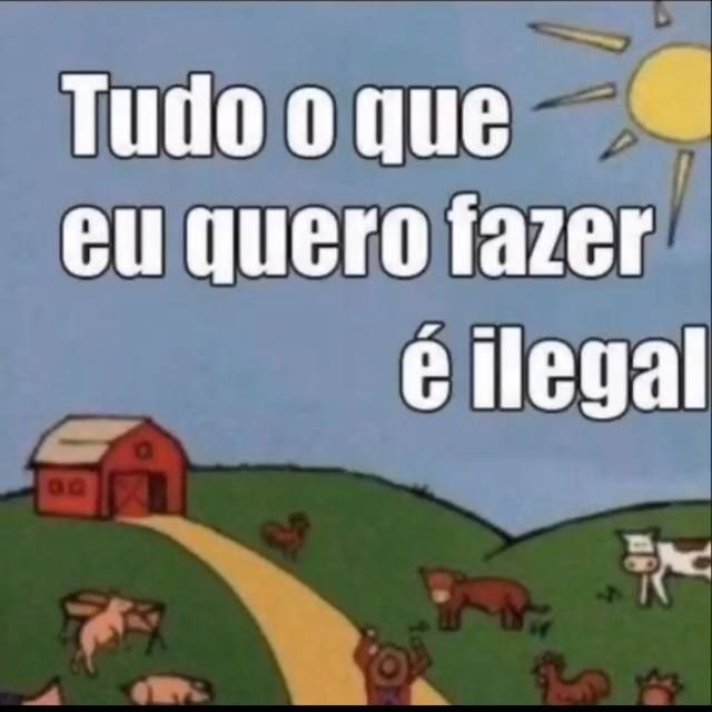 perfil dedicado a gatinhos e peitos tweet media