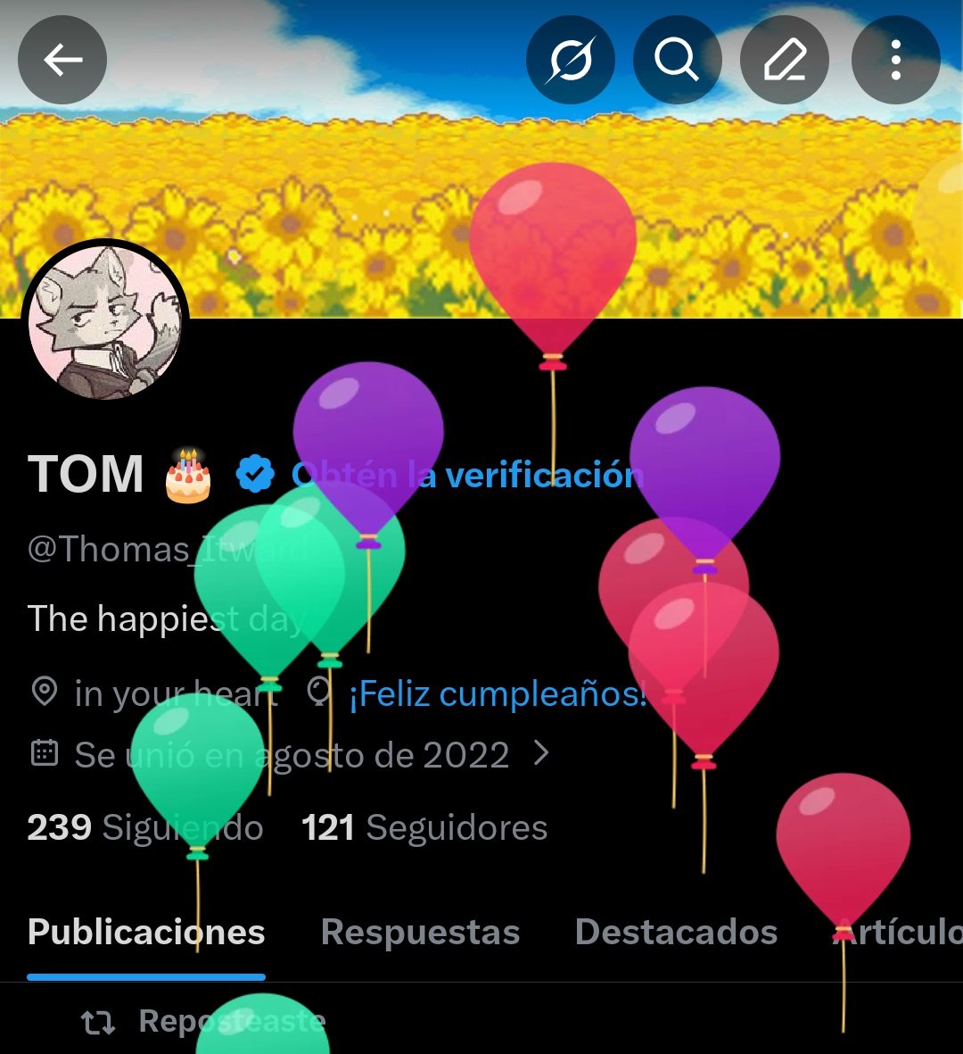 TOM 🎂 tweet media
