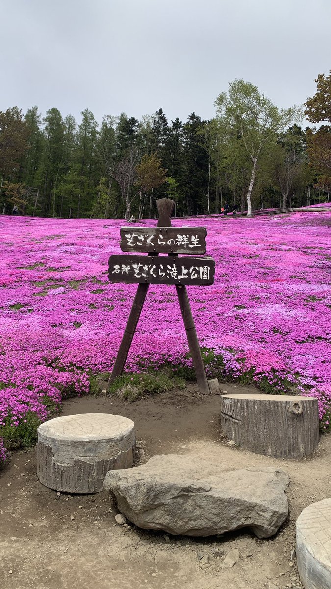 えーぷりるふーる tweet media