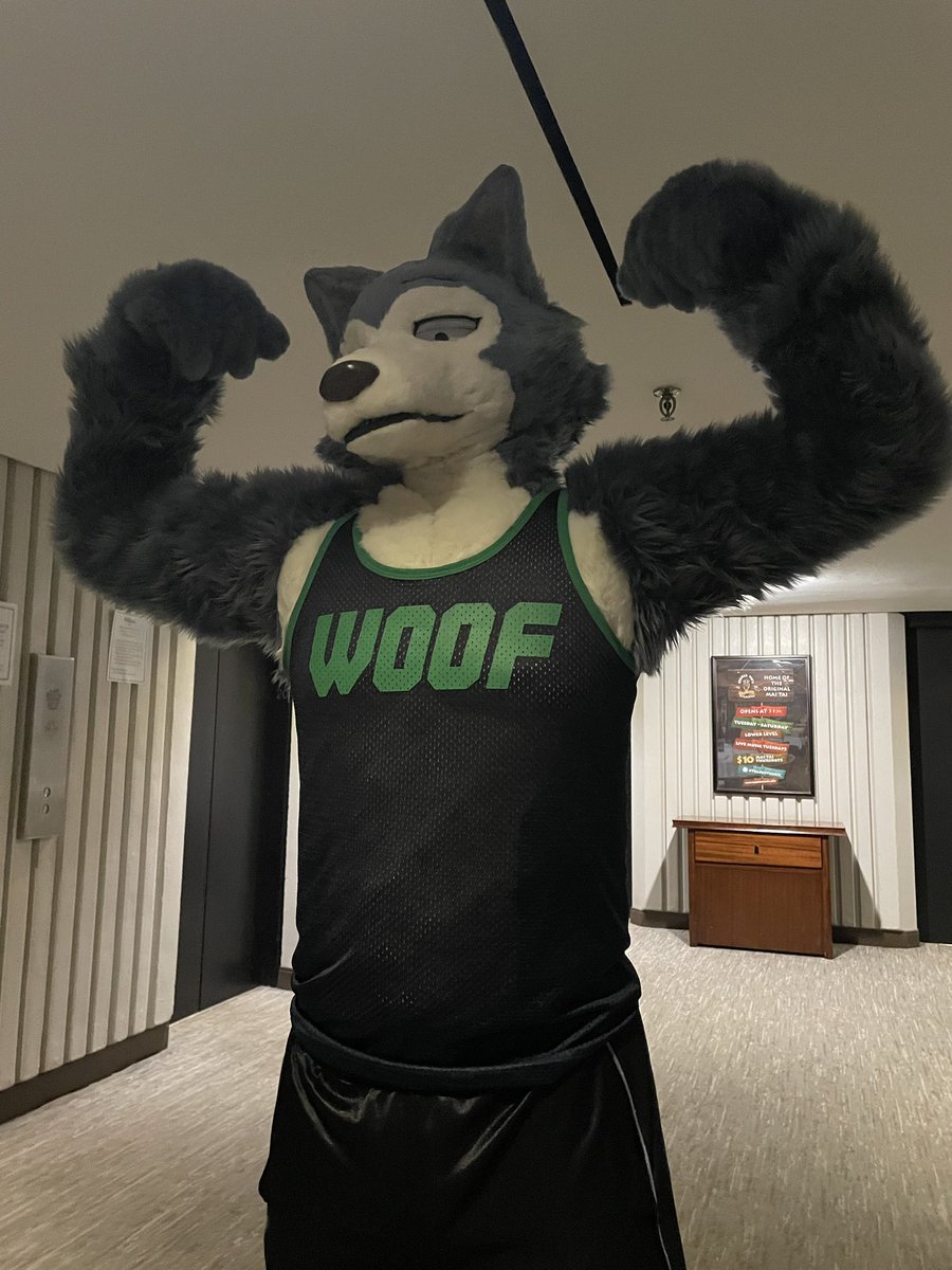 Moose (Differmitt) 🔜 FWA???? tweet media