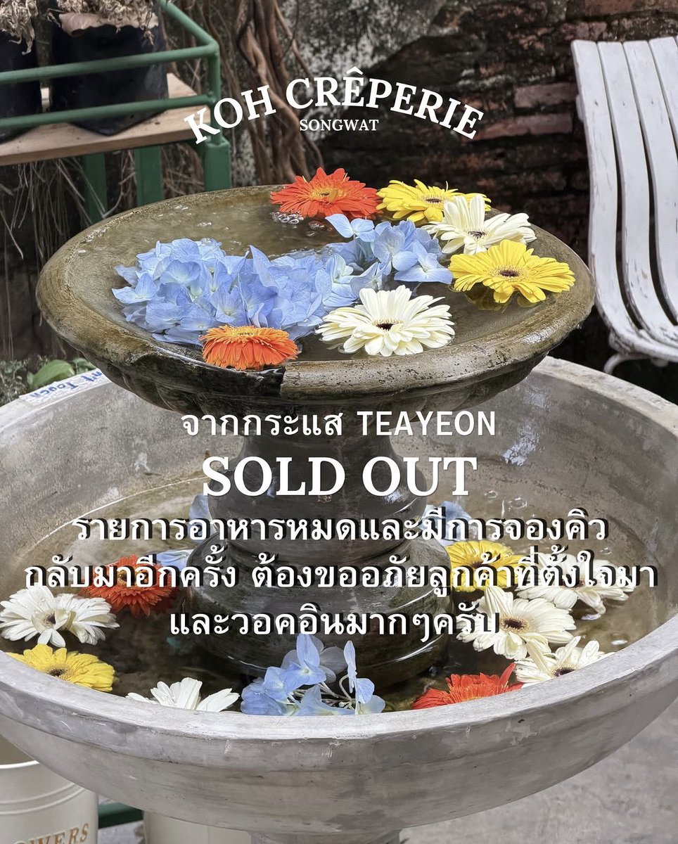 나연 tweet media
