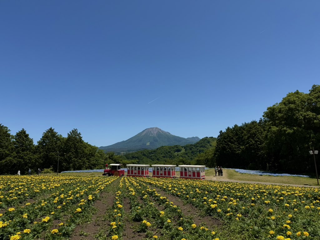 藤本健司 tweet media