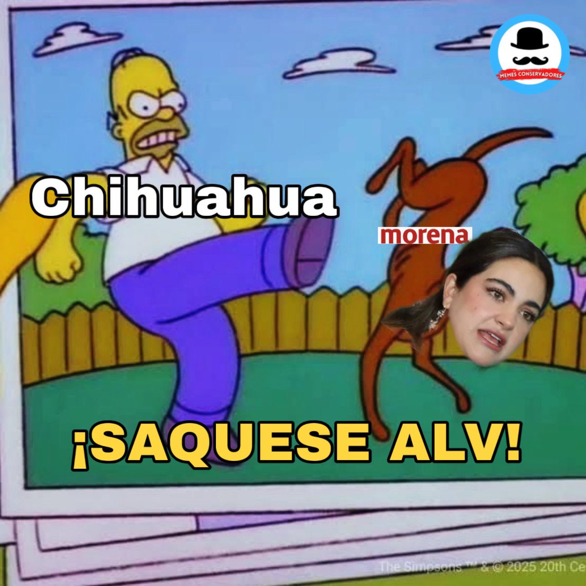 Memes__Conservadores tweet media