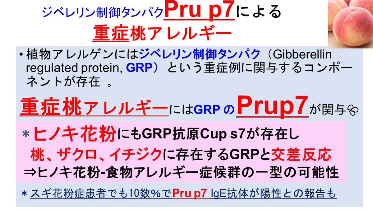 「アレルギーの正しい知識」埼玉医大アレルギーセンター顧問 永田真 tweet media