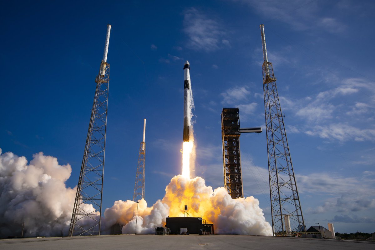 Parody Elon Musk tweet media