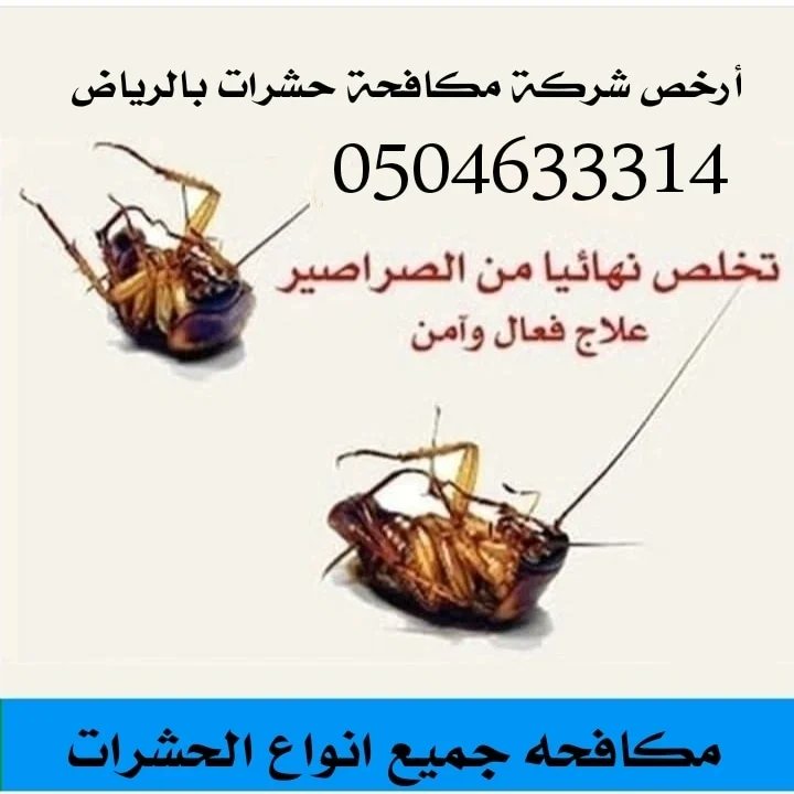 waltrkyb1's tweet photo. شركة نقل عفش بالرياض 

شركة مكافحة حشرات بالرياض https://t.co/YuXyFEro6K