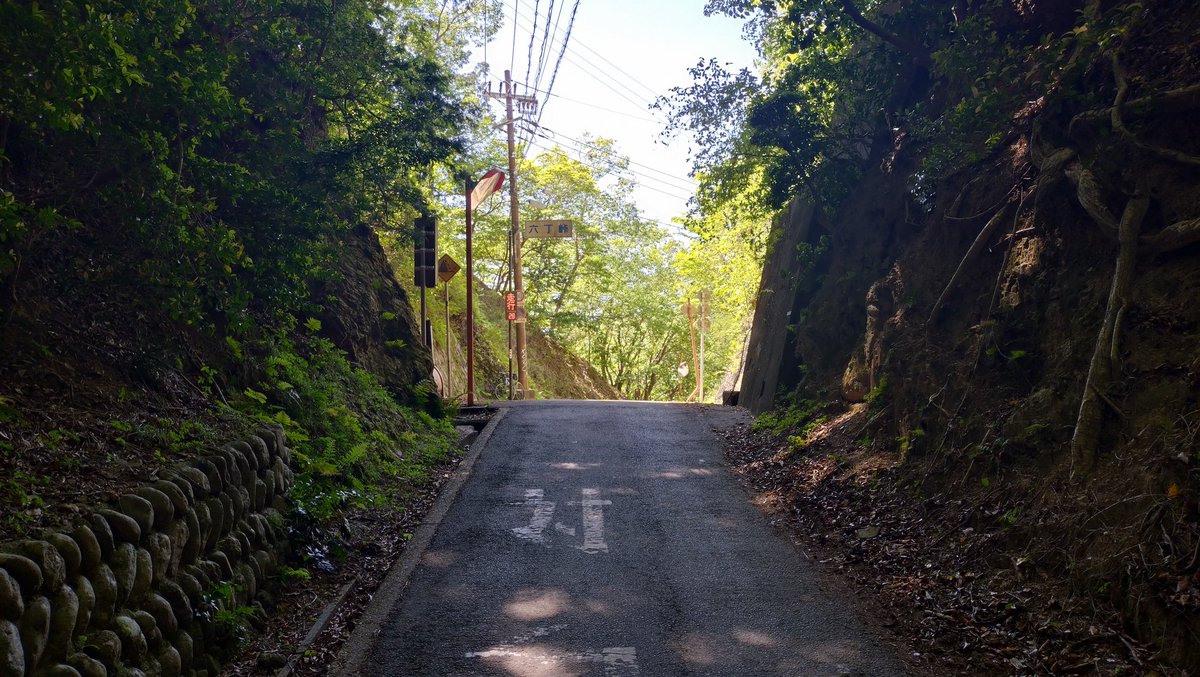 Nalcise's tweet photo. 六丁峠完登。
斜度的にキツかったけど、距離が短いので何とか登り切る。
でもアカン、リハビリや、リハビリせなアカン！ https://t.co/3sDfHwSPpP