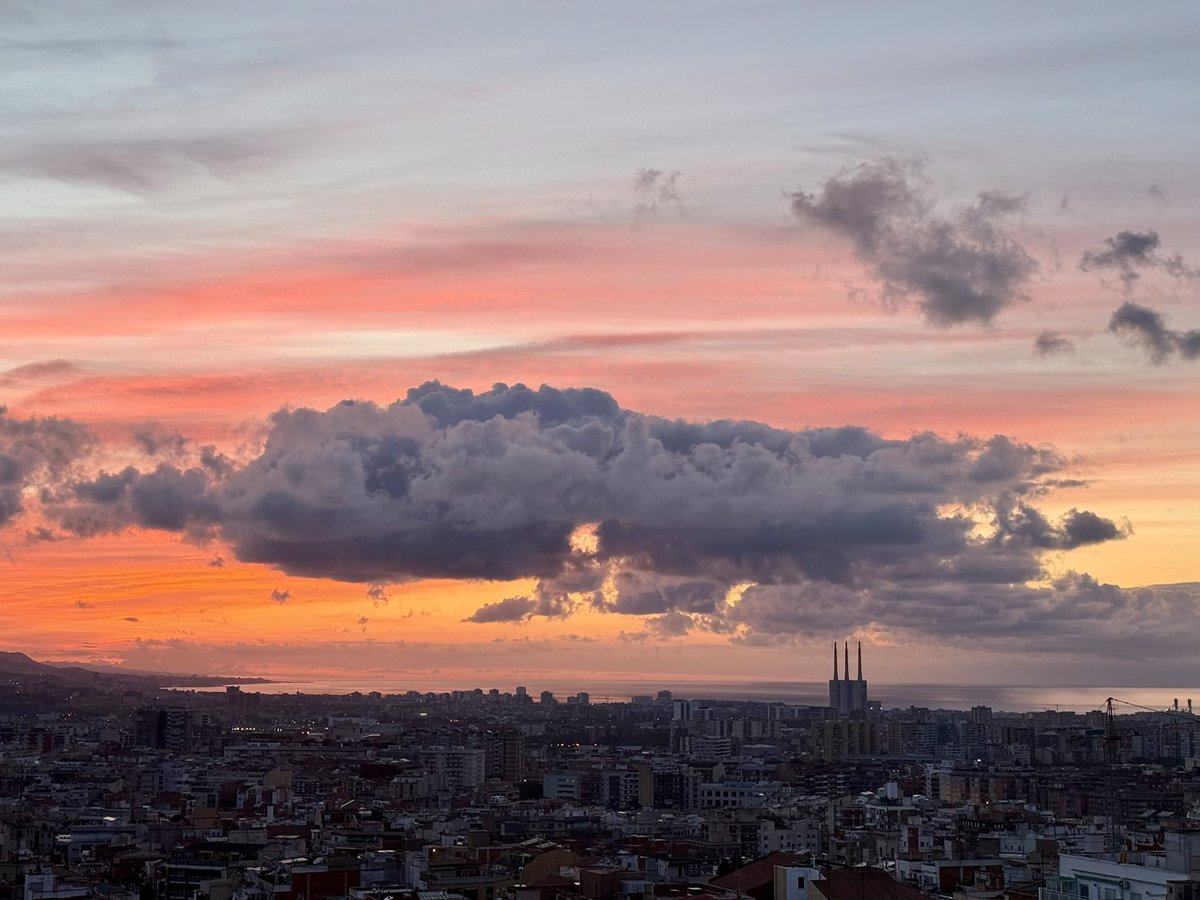 Josep Harris tweet media