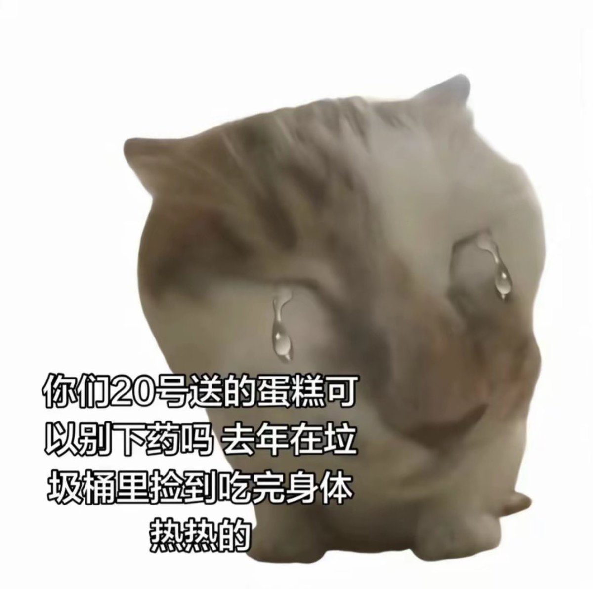 草莓妈咪 tweet media