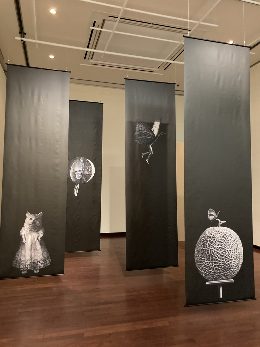 🌸 #秀島由己男 展へ行く➂ #熊本市現代美術館 写真を撮れるのは入り口