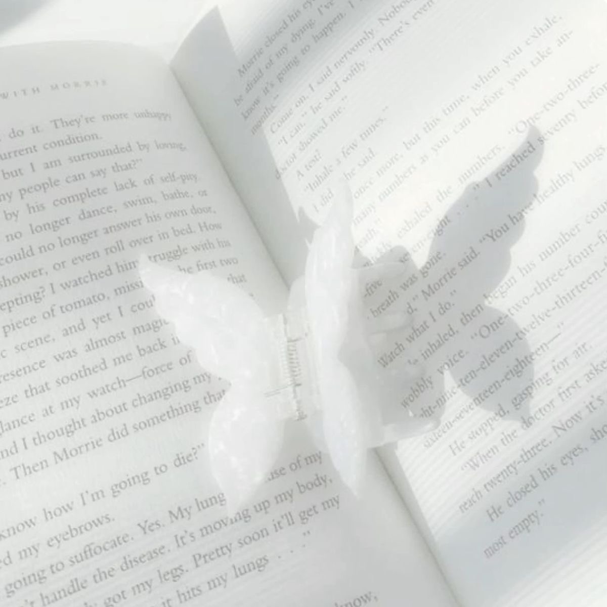 bunni tweet media
