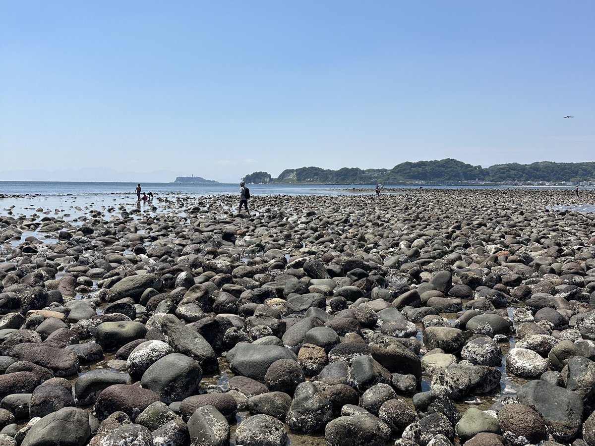 箱絵、富士山と江の島を鎌倉の材木座、由比ヶ浜の桜貝でコラボしてます、セットで。 kh-005_.jpg